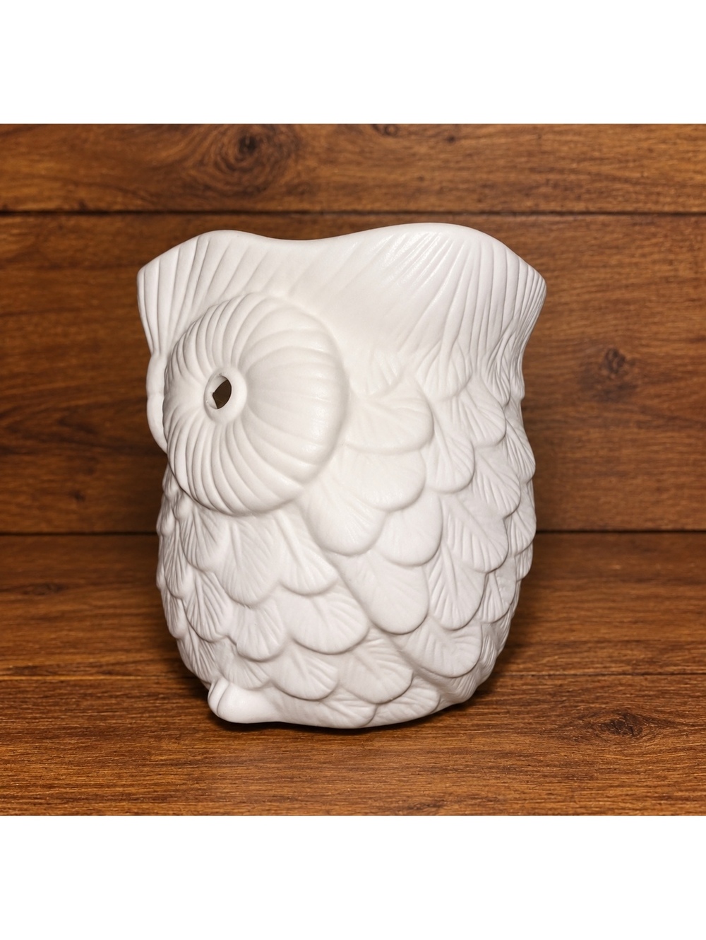 Scentsy Whoot Mini plug in warmer